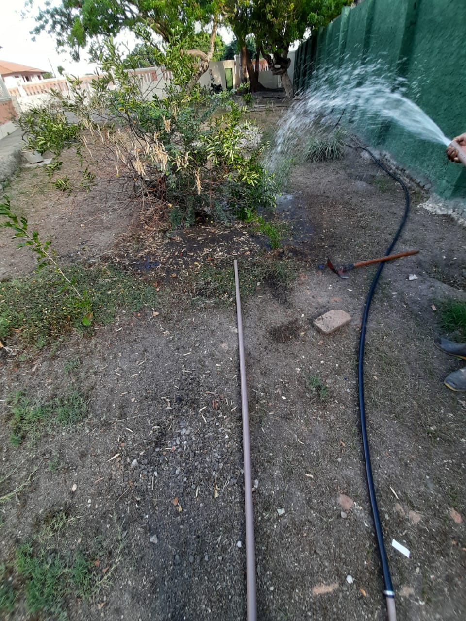 Jardim de inverno